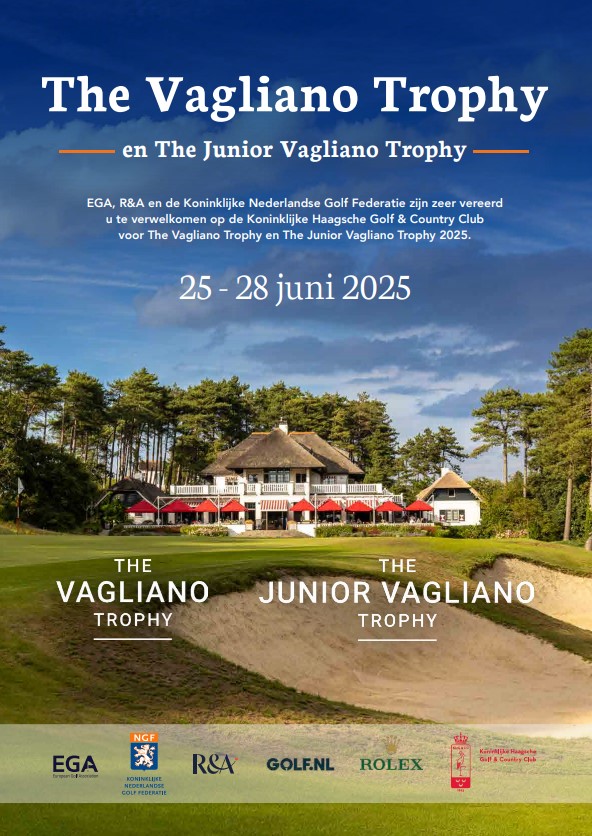 Vagliano poster